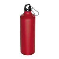Kép 1/3 - Nagy ivópalack karabinerrel, 800 ml, piros