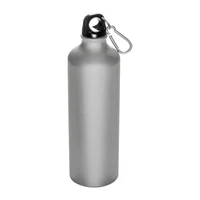 Kép 1/3 - Nagy ivópalack karabinerrel, 800 ml, szürke