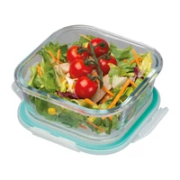 Kép 3/3 - Üveg ételhordó műanyag fedővel, 500 ml, áttetsző