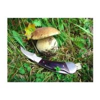 Kép 1/3 - PILZ gombázó kés, vegyes