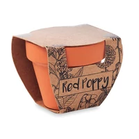 Kép 4/4 - Terrakotta ültető, pipacs