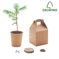 Kép 1/9 - GROWTREE™ Fenyő ültető készlet, bézs