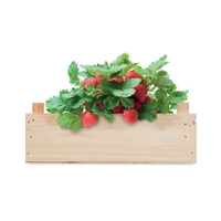 Kép 4/5 - Epertermesztő készlet, faláda