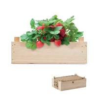Kép 5/5 - Epertermesztő készlet, faláda