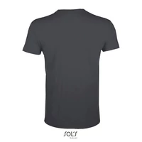 Kép 2/4 - REGENT F férfi T-Shirt 150g