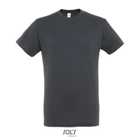 Kép 1/4 - REGENT UNI T-SHIRT 150g