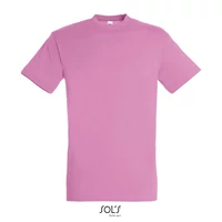 Kép 1/4 - REGENT UNI T-SHIRT 150g