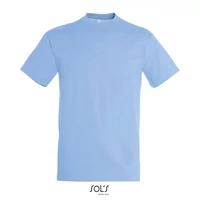 Kép 1/4 - REGENT UNI T-SHIRT 150g