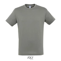 Kép 1/4 - REGENT UNI T-SHIRT 150g
