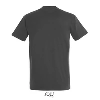Kép 2/4 - IMPERIAL férfi T-Shirt 190g
