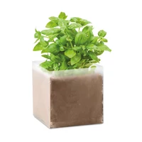 Kép 1/5 - BASIL Bazsalikom ültetőszett, beige
