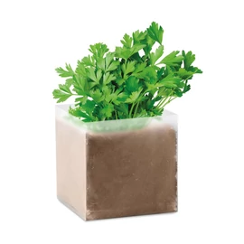 PARSELY Petrezselyem ültetőszett, bézs