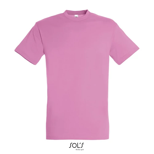 REGENT UNI T-SHIRT 150g