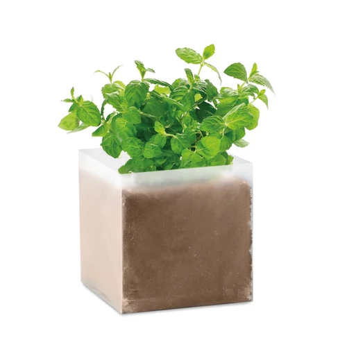 MINT Menta ültetőszett, beige